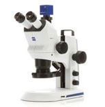 Zeiss Stereo Microscope