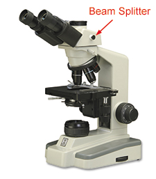 Microscope beam splitter on a compound microscope.