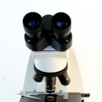 binocular microscope