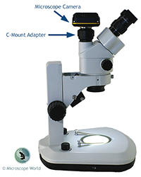 Microscope Camera and C-Mount Illustration