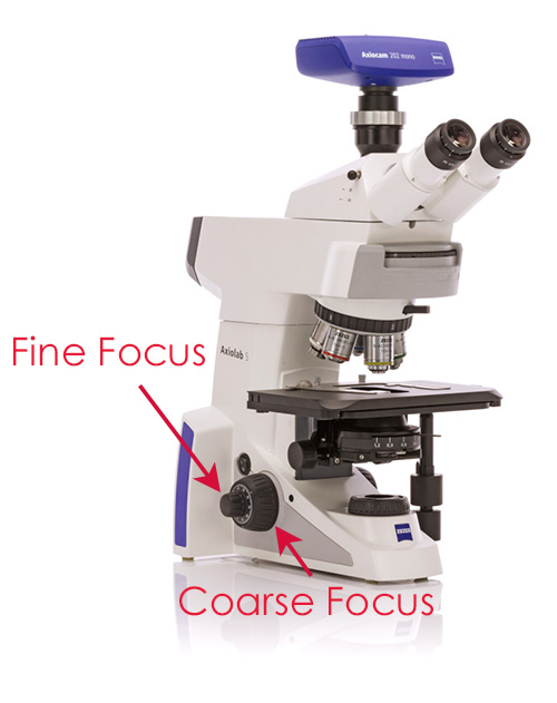 ZEISS Microscope coarse and fine focus