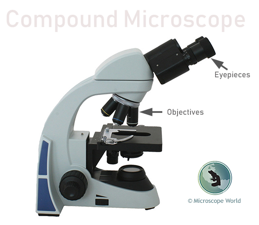 Microscopes, All Microscopes