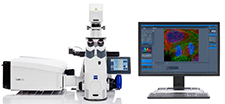 Confocal Microscope