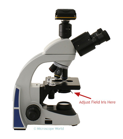 Microscope Field Iris Image
