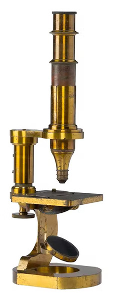 Who Invented the Microscope?