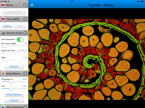 WiFi microscope camera software image