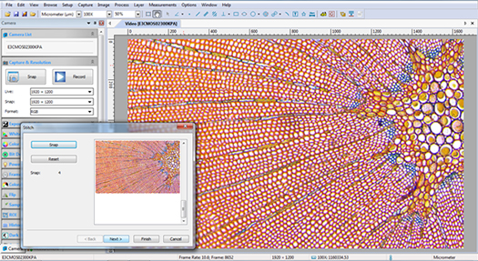 Microscope Digital Camera Image Stitching Software