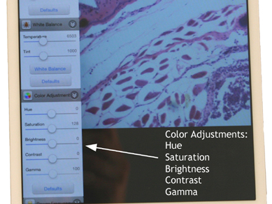 WiFi microscope camera color adjustment on software