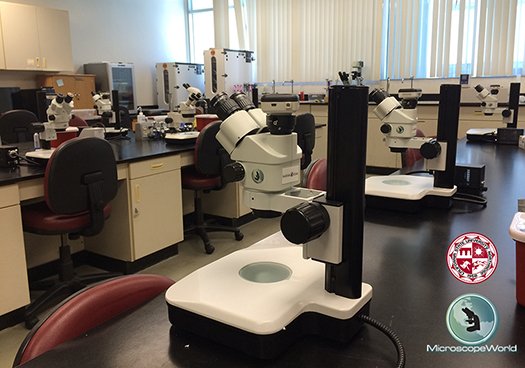 Cal State Northridge Microscope Lab
