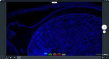 ZEISS Labscope Module Multi Channel Fluorescence