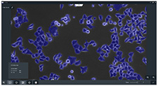 ZEISS Labscope AI Cell Confluency Software
