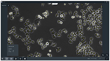 ZEISS Labscope AI Cell Counting Software