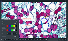 ZEISS Labscope Annotate and Measure Microscope Software
