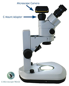 Microscope Camera Connection