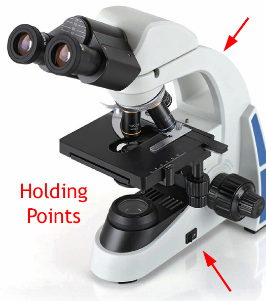 How to carry a microscope