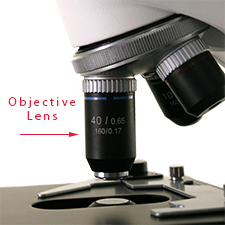 Microscope objective lenses.