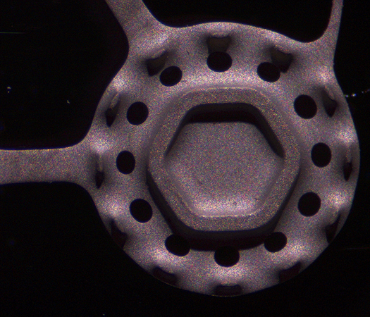 Microscopy Oblique Illumination
