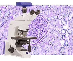Pathology Microscope