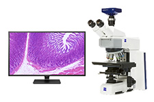 Pathology Microscope with 4K HD Monitor