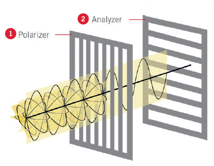 Microscopy Polarization Illustration