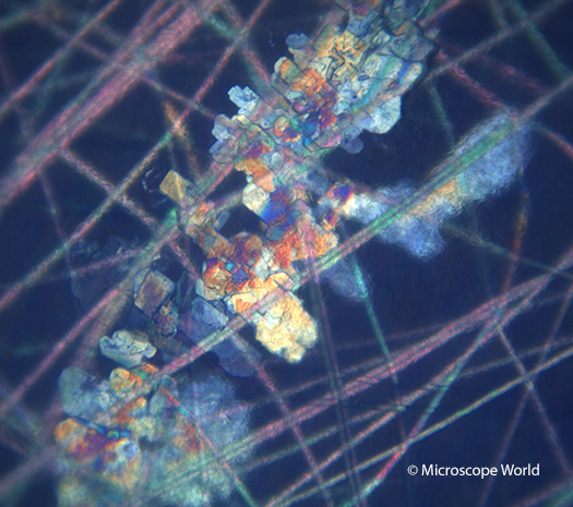 Polymers under a Polarizing Microscope at 100x