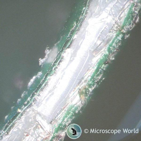 Potato Chip Bag Seal Under Microscope