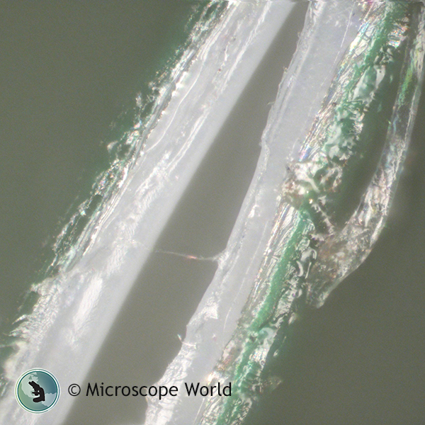 Potato Chip Bag Seal Under Microscope 500x