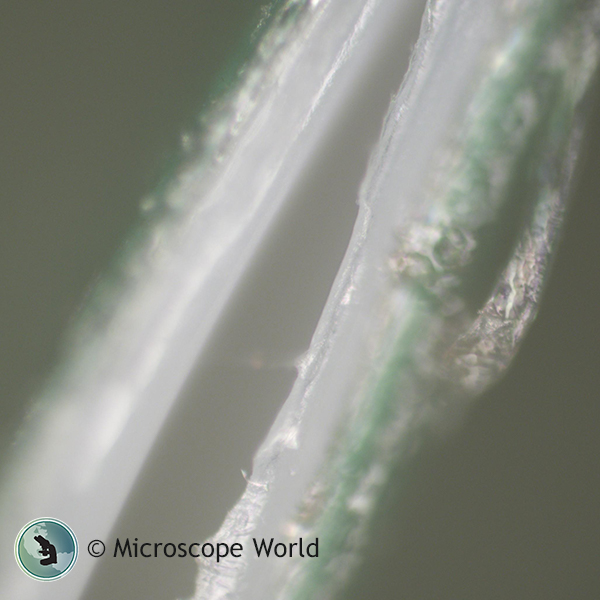 Potato Chip Bag Seal Under Microscope