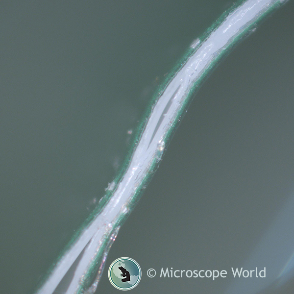 Food packaging seal under the microscope at 50x.