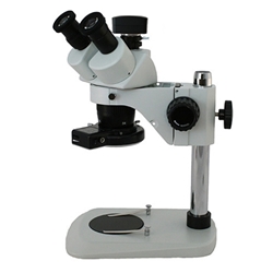Richter Optica S2-TPD Digital 10x/30x Microscope