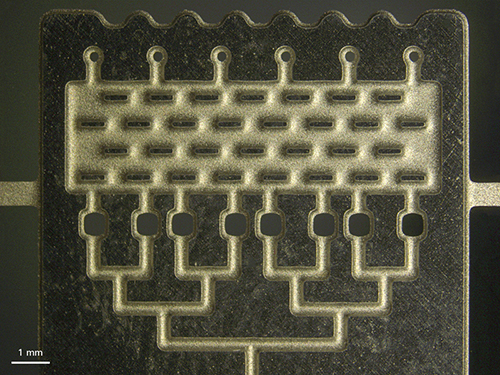 Microfluidics image under Zeiss Stemi 508 stereo microscope.