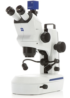 Stereo Microscope