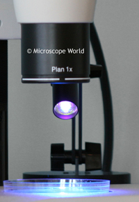 Stereo Fluorescent Microscope