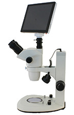 Dissecting Microscopes