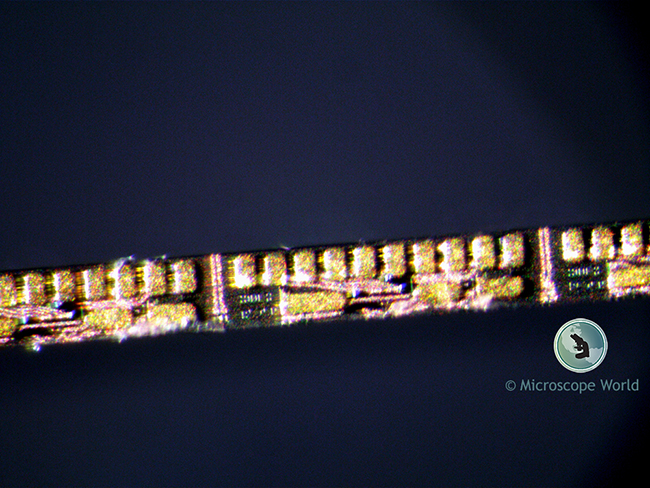 Stereo Microscope Resolution Image