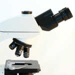 Trinocular Microscope