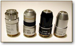 Microscope objective lenses