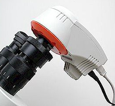 Microscope digital camera on eyepiece