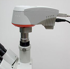 Microscope digital camera on trinocular port
