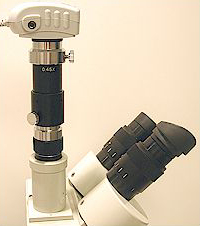 C-Mount adapted microscope camera