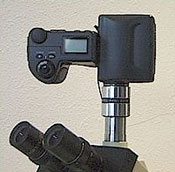 camera adapter on trinocular microscope