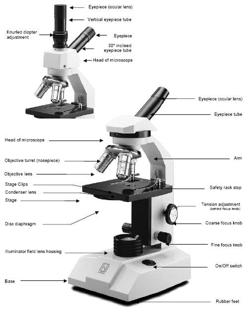 microscope diagram microscope diagram