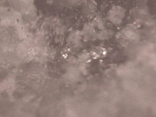 Microscope image of granite, 40x