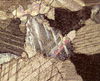 Limestone Image
