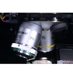 Dual Mag Stereo Microscope