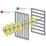 Microscopy Polarization Explained