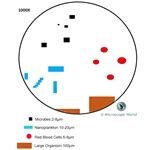 How Changing Magnification Affects Field of Veiw