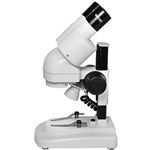 20x stereo microscope