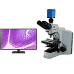 Microscope Digital Camera Options