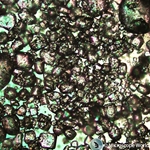 Viewing Crystals with a Polarized Light Microscope